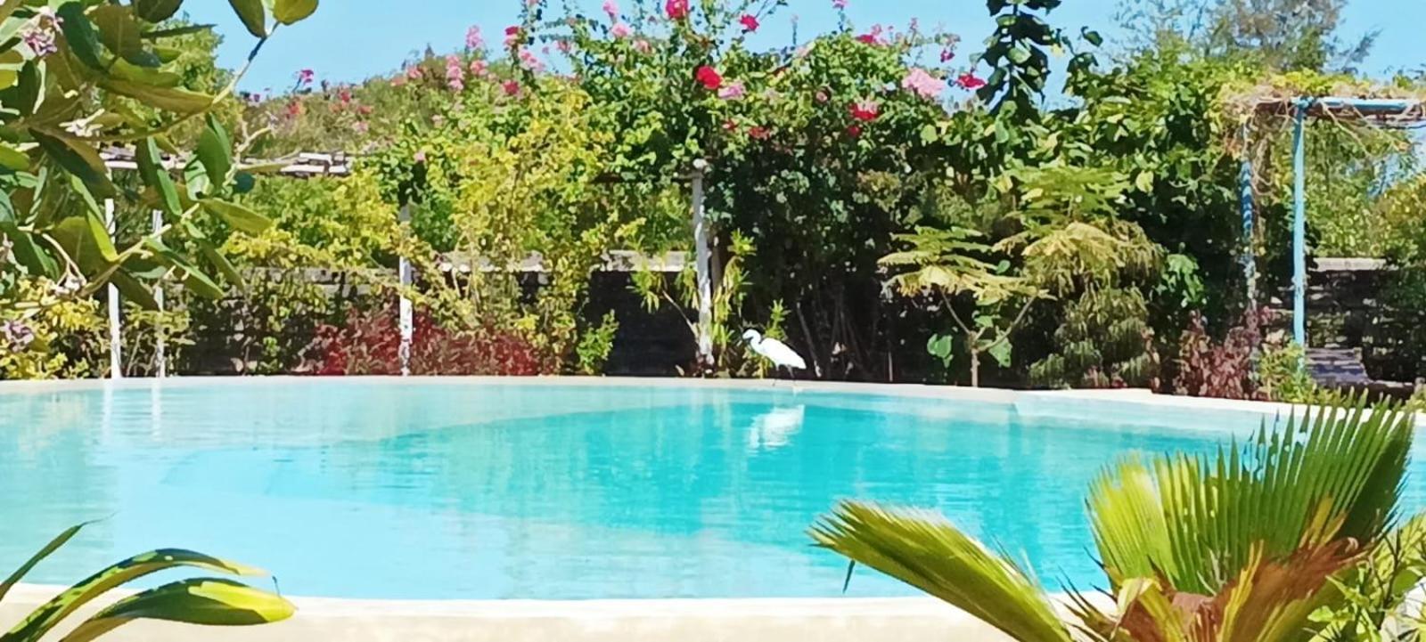 Matemwe Ocean View Villas Εξωτερικό φωτογραφία