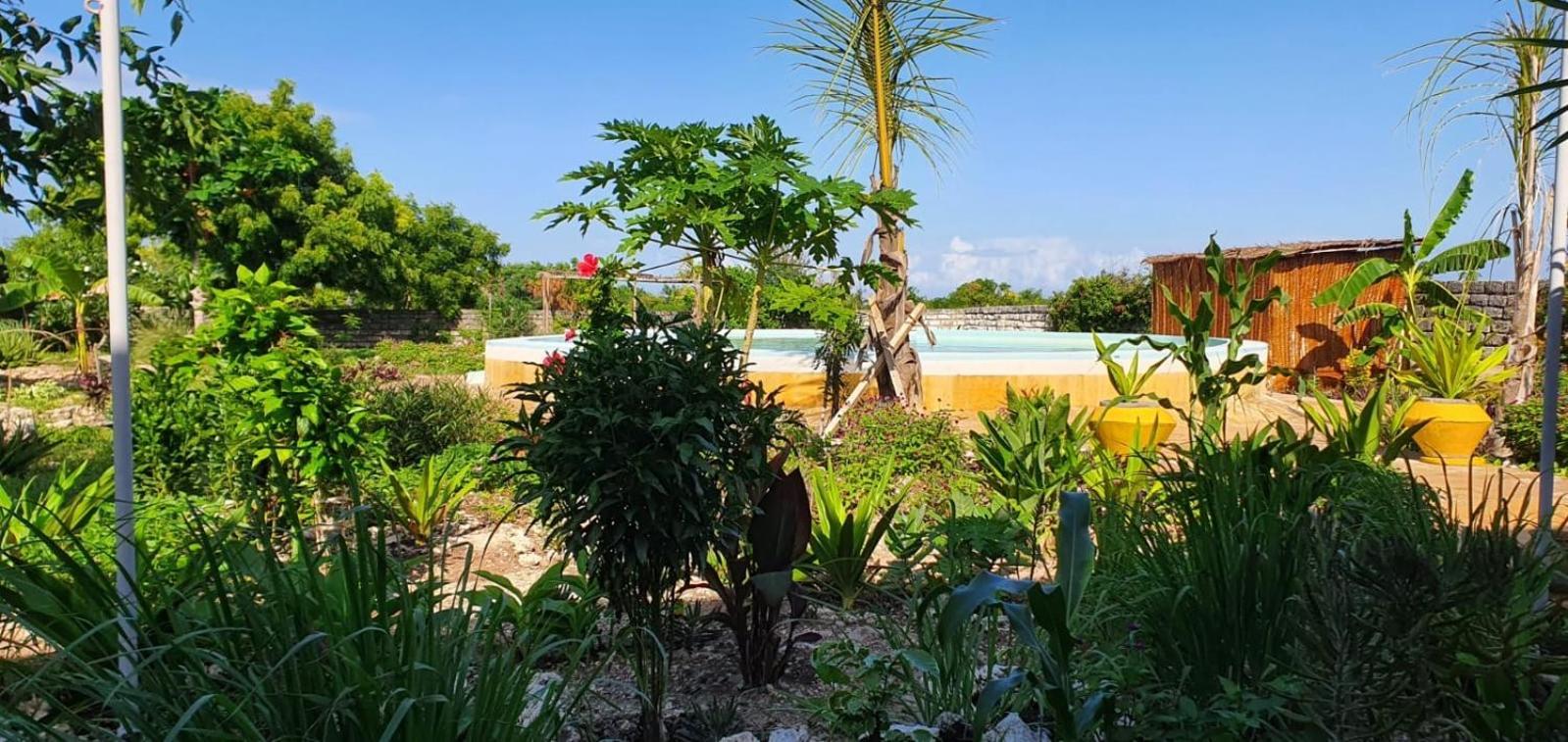 Matemwe Ocean View Villas Εξωτερικό φωτογραφία